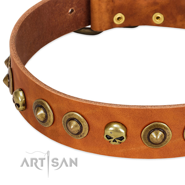 Exceptional studs on full grain genuine leather collar for your pet