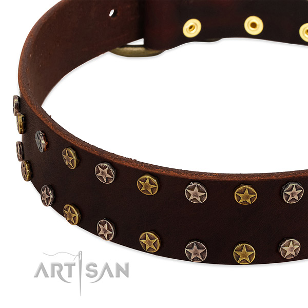 Everyday use natural leather dog collar with stylish decorations