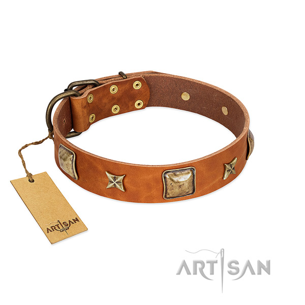 Perfect fit leather collar for your dog