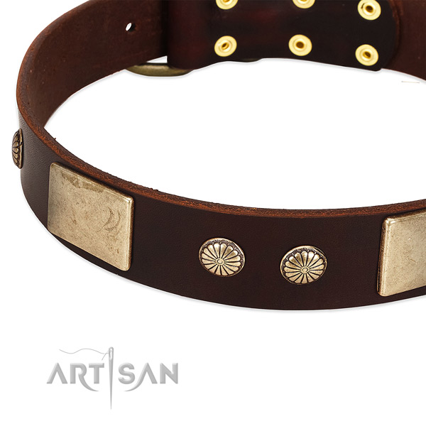 Rust resistant traditional buckle on leather dog collar for your doggie