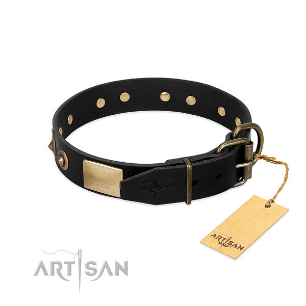 Rust-proof adornments on easy wearing dog collar