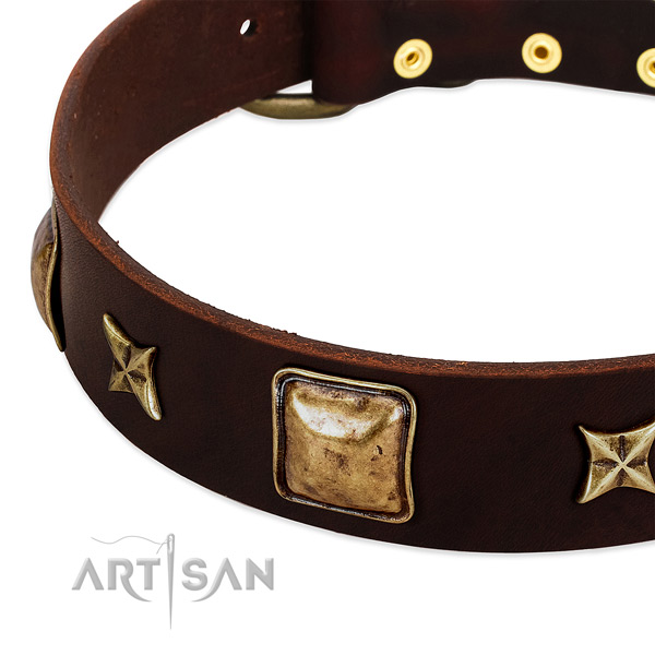 Corrosion proof studs on natural genuine leather dog collar for your doggie