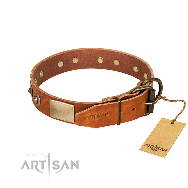 Rust resistant buckle on daily walking dog collar