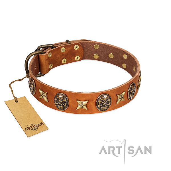 Adorned full grain natural leather collar for your four-legged friend