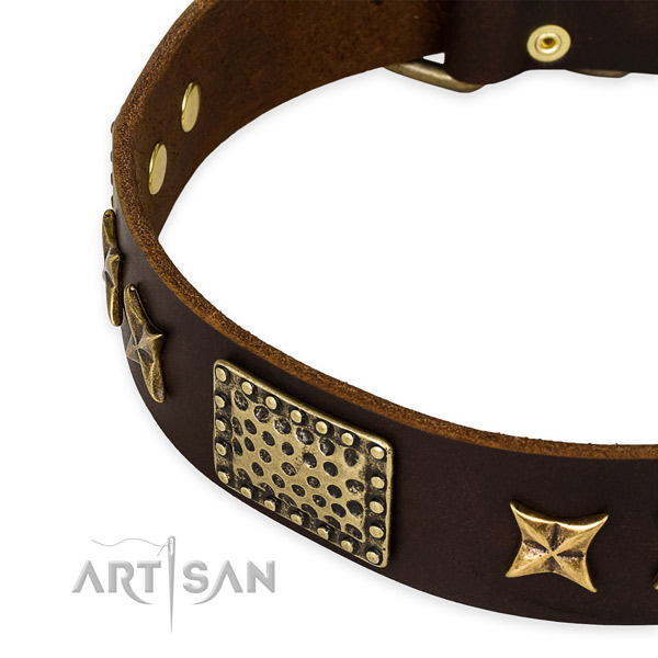 Full grain leather collar with corrosion resistant fittings for your handsome pet