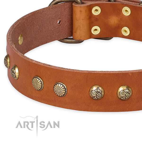 Full grain genuine leather collar with reliable traditional buckle for your stylish pet