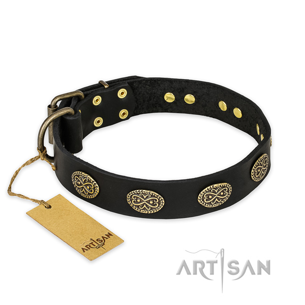 Embellished full grain natural leather dog collar with durable traditional buckle