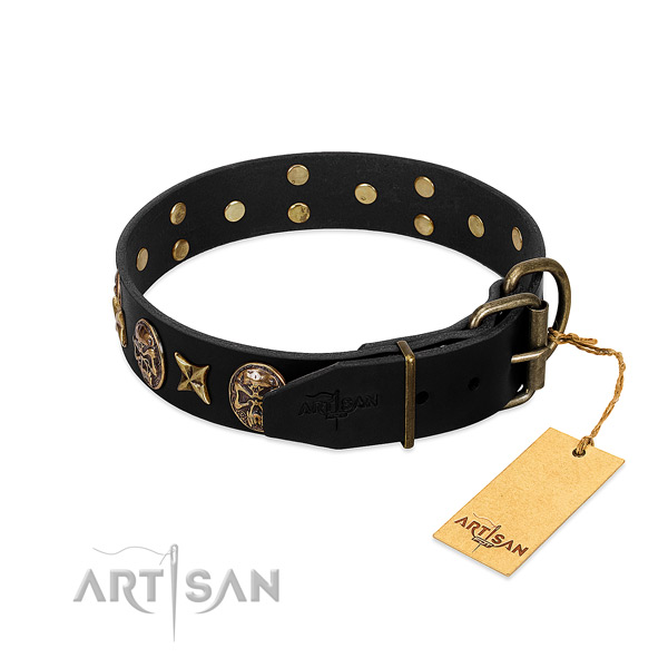 Corrosion proof studs on leather dog collar for your four-legged friend