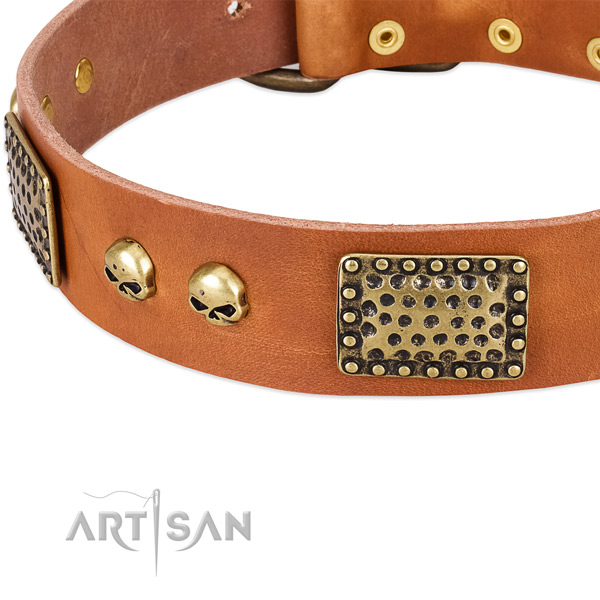 Corrosion proof buckle on leather dog collar for your dog