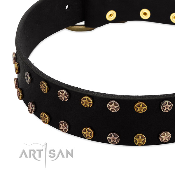 Fashionable adornments on genuine leather collar for your four-legged friend