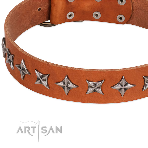 Handy use adorned dog collar of quality natural leather