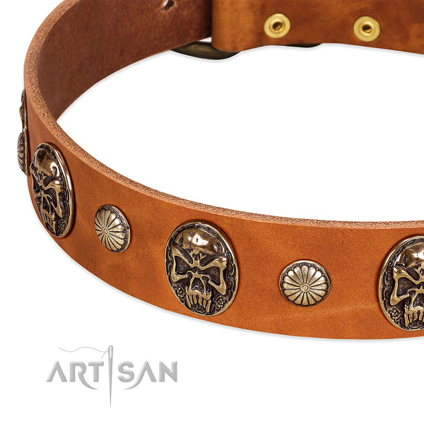 Strong hardware on full grain genuine leather dog collar for your four-legged friend