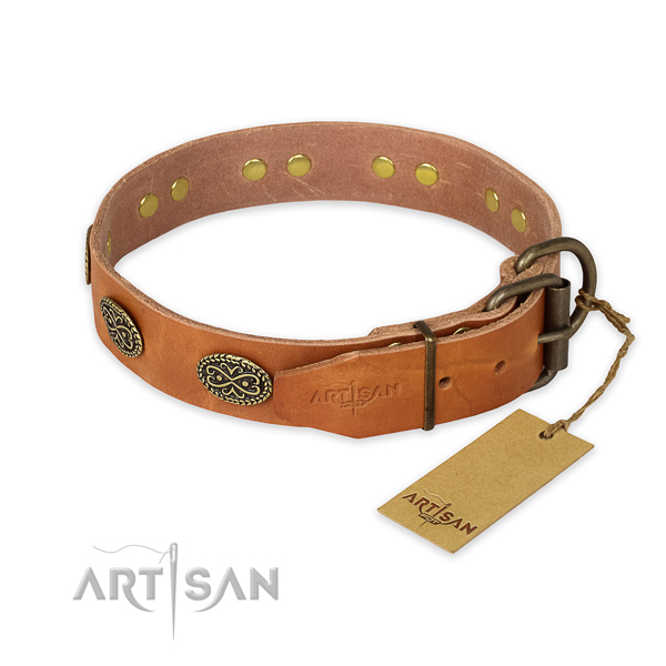 Strong fittings on full grain natural leather collar for fancy walking your canine