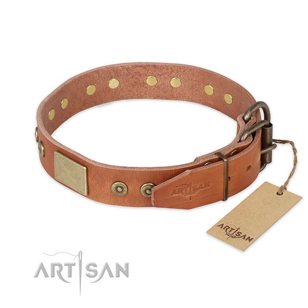 Durable fittings on full grain leather collar for walking your doggie