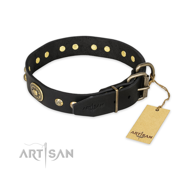 Reliable fittings on full grain natural leather collar for stylish walking your dog
