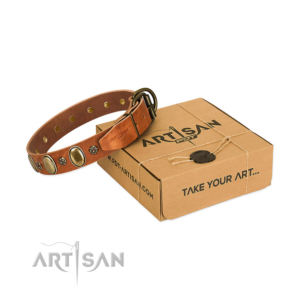 Everyday walking quality leather dog collar with adornments