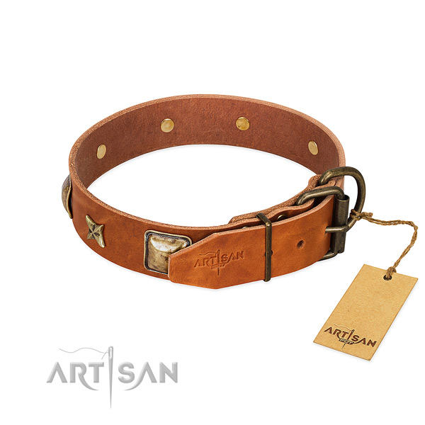 Full grain natural leather dog collar with rust-proof hardware and studs