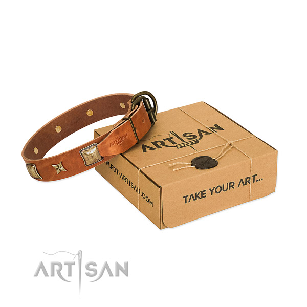 Top notch leather collar for your impressive four-legged friend