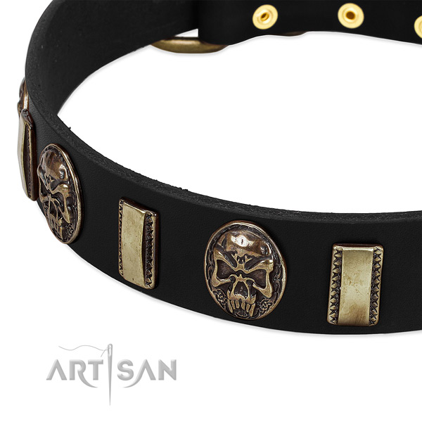 Durable decorations on full grain leather dog collar for your canine
