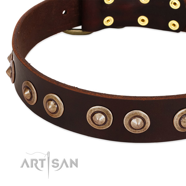 Strong D-ring on natural genuine leather dog collar for your canine