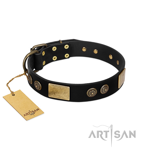 Strong decorations on full grain leather dog collar for your canine