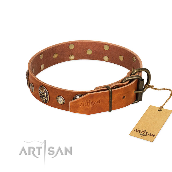Reliable buckle on full grain leather collar for stylish walking your four-legged friend
