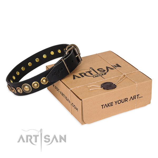 Durable full grain leather dog collar handcrafted for daily use