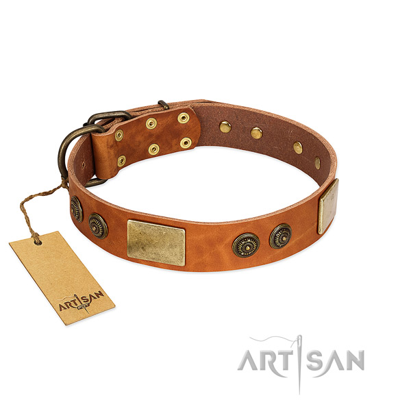 Decorated genuine leather dog collar for stylish walking