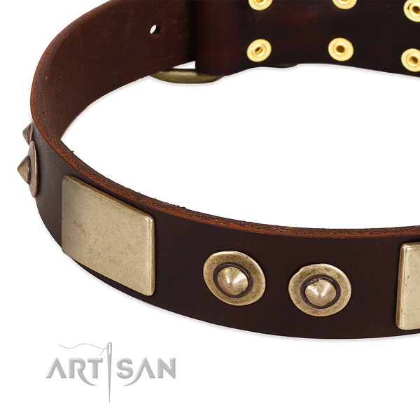 Corrosion proof adornments on leather dog collar for your dog