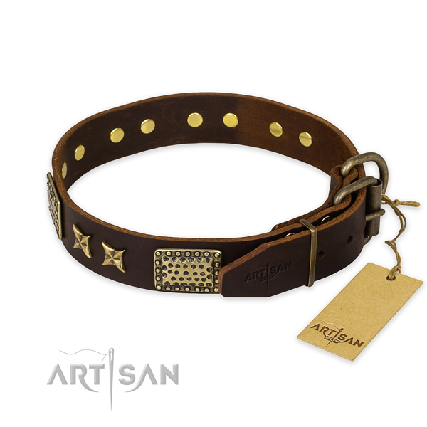 Corrosion resistant hardware on leather collar for your beautiful canine