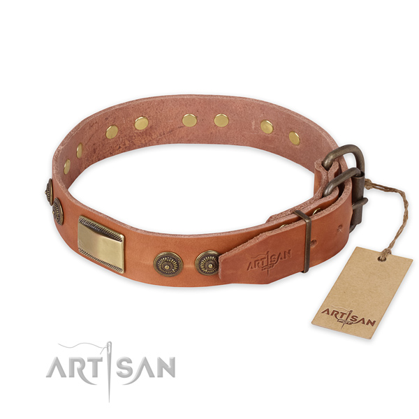 Strong traditional buckle on leather collar for daily walking your dog
