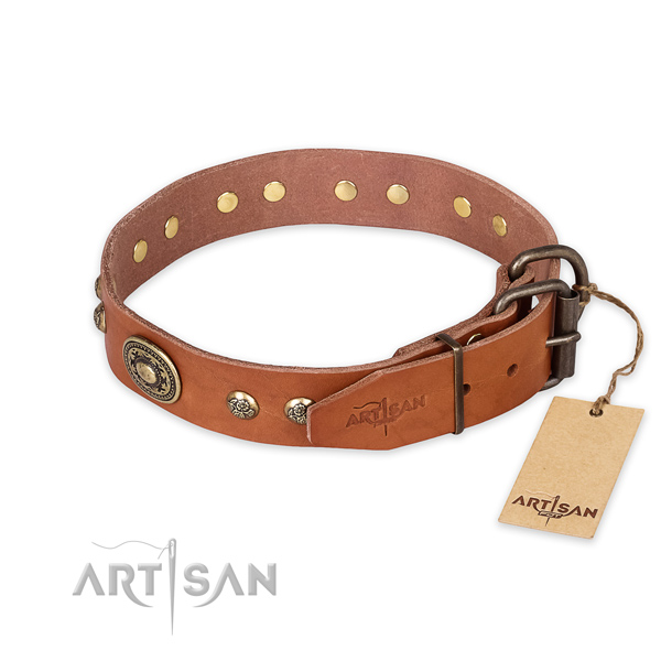 Corrosion proof fittings on genuine leather collar for walking your four-legged friend