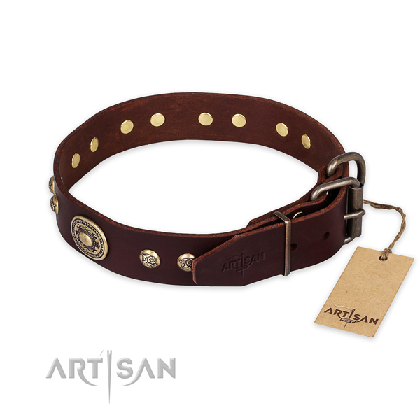 Corrosion resistant traditional buckle on natural leather collar for basic training your canine