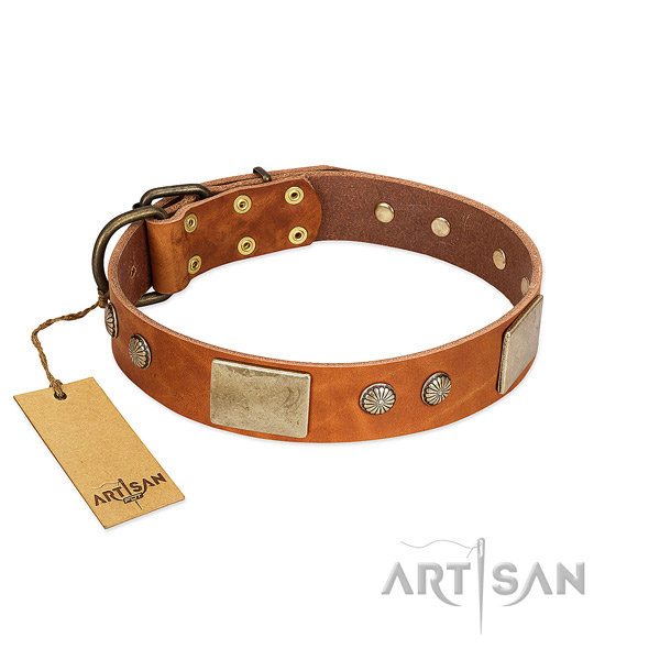 Easy adjustable full grain natural leather dog collar for everyday walking your dog