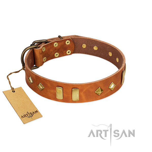 Daily use reliable natural leather dog collar with studs