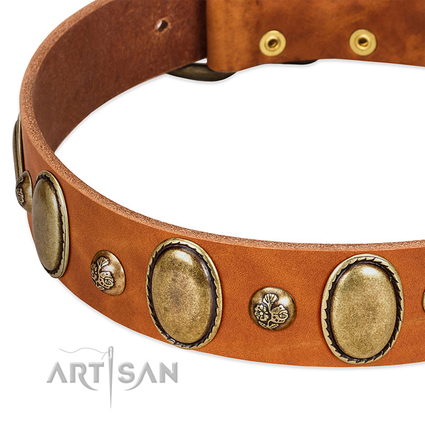 Genuine leather dog collar with stylish design decorations