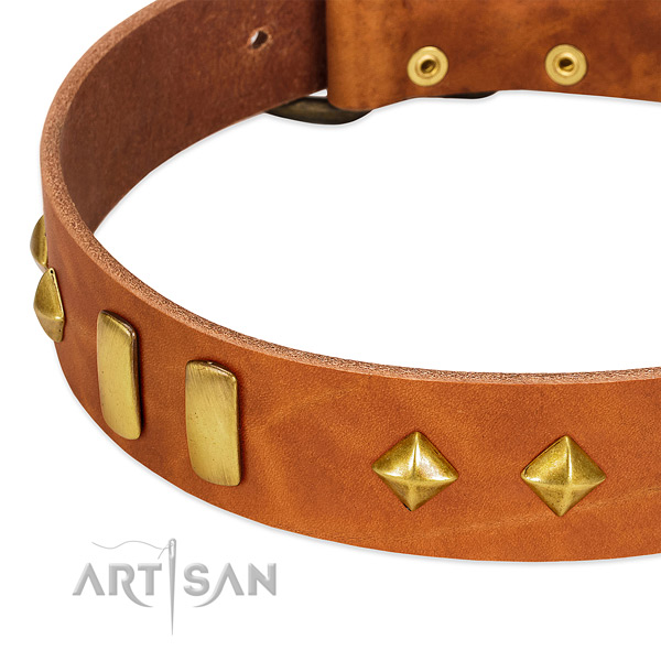Handy use genuine leather dog collar with designer adornments