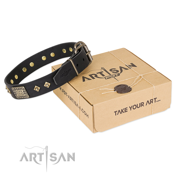 Awesome genuine leather collar for your handsome canine