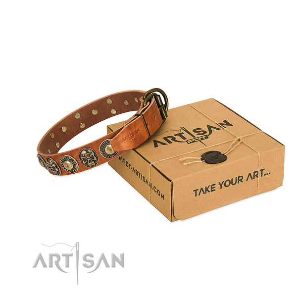 Rust resistant buckle on dog collar for comfy wearing