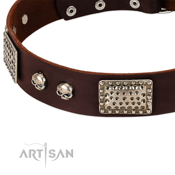 Rust resistant studs on full grain leather dog collar for your pet