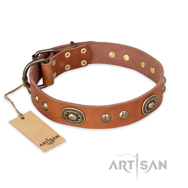 Unique natural leather dog collar for daily use