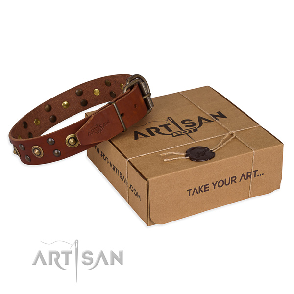 Corrosion resistant traditional buckle on full grain genuine leather collar for your impressive four-legged friend