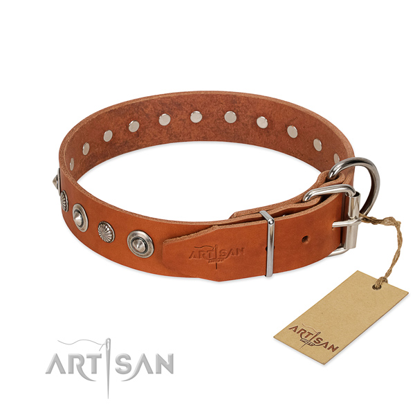 Finest quality full grain natural leather dog collar with top notch embellishments