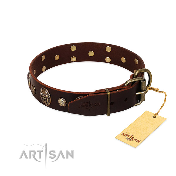 Corrosion proof adornments on easy wearing dog collar
