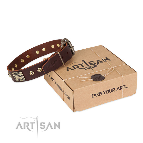 Easy wearing full grain natural leather collar for your impressive doggie