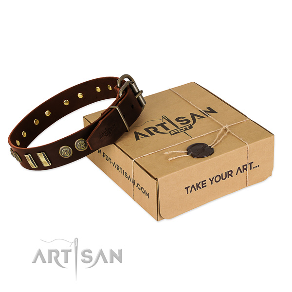 Rust resistant studs on natural leather dog collar for your dog
