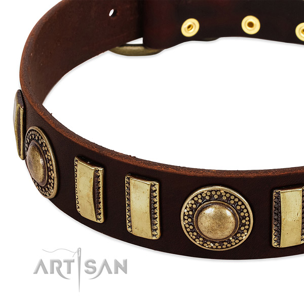Top rate leather dog collar with rust resistant buckle