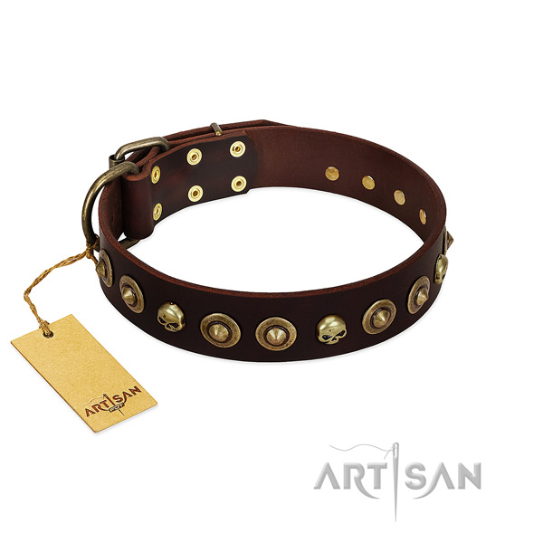 Natural leather collar with stunning embellishments for your four-legged friend