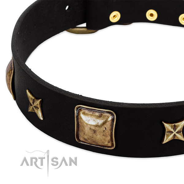 Genuine leather dog collar with exquisite studs