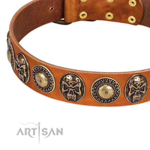 Corrosion proof adornments on leather dog collar for your doggie